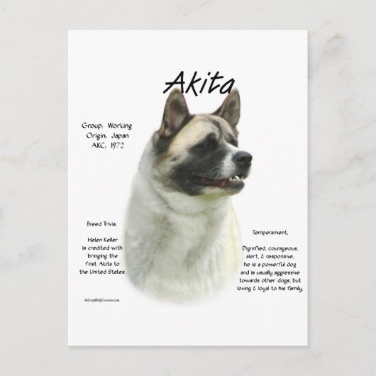 Carte Postale Histoire de Pinto Akita (Devant)