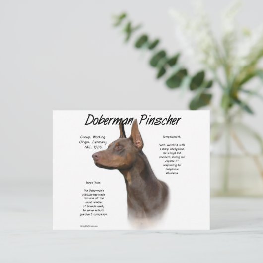 Carte Postale Histoire de Red Doberman (Debout devant)