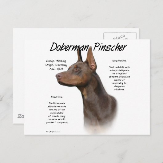 Carte Postale Histoire de Red Doberman (Devant / Derrière)