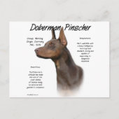 Carte Postale Histoire de Red Doberman (Devant)