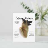 Carte Postale Histoire des Malinois belges ; Tout sur les Malino (Debout devant)