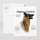 Carte Postale Histoire des Malinois belges ; Tout sur les Malino (Devant / Derrière)