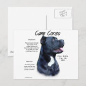 Carte Postale Histoire du Corso de Canne (Devant / Derrière)