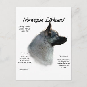 Carte Postale Histoire du Elkhound norvégien Conception