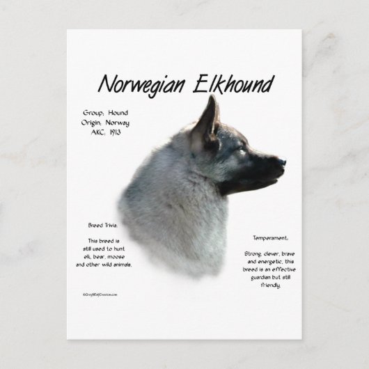 Carte Postale Histoire du Elkhound norvégien Conception (Devant)