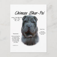 Histoire du Shar Pei en Chine Bleue, Sharpei, Shar