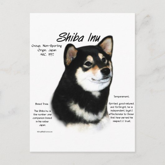 Carte Postale Histoire du Shiba Inu noir (Devant)