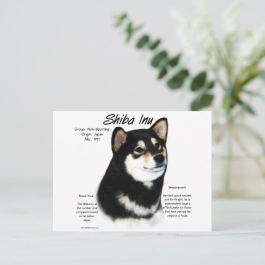 Carte Postale Histoire du Shiba Inu noir (Debout devant)