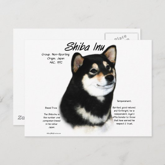 Carte Postale Histoire du Shiba Inu noir (Devant / Derrière)