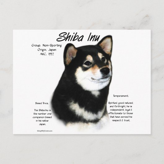 Carte Postale Histoire du Shiba Inu noir (Devant)