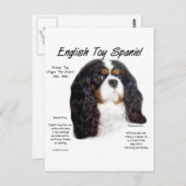 Carte Postale Histoire du Spaniel Toy Anglais Prince Charles (Devant / Derrière)