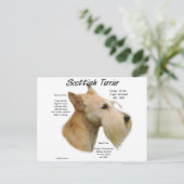 Carte Postale Histoire écossaise à Wheaten (Debout devant)