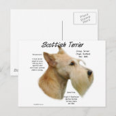 Carte Postale Histoire écossaise à Wheaten (Devant / Derrière)