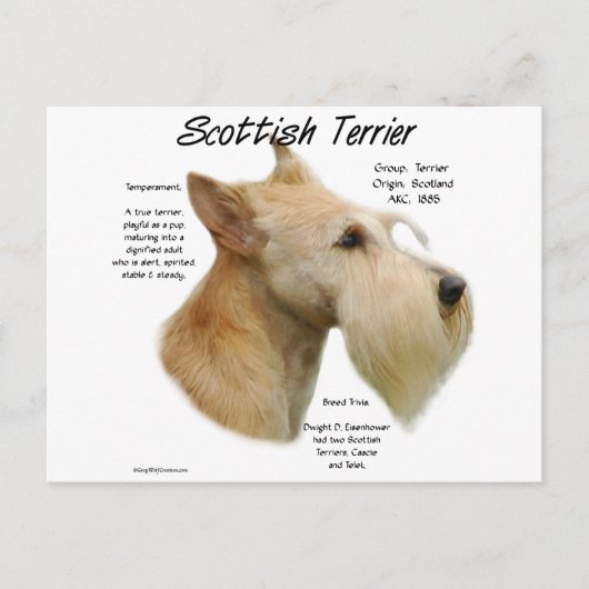 Carte Postale Histoire écossaise à Wheaten (Devant)