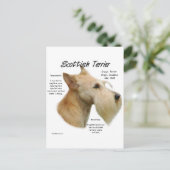 Carte Postale Histoire écossaise à Wheaten (Debout devant)