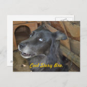 Carte Postale Histoire fraîche Bro (Devant / Derrière)