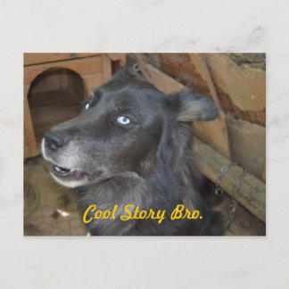 Carte Postale Histoire fraîche Bro