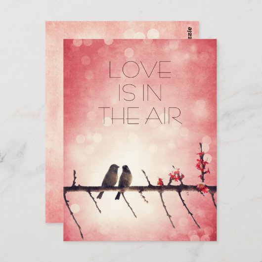 Carte Postale Histoire Inséparable (Devant / Derrière)