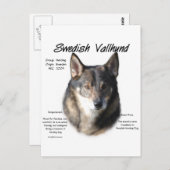 Carte Postale Histoire suédoise de Vallhund (Devant / Derrière)