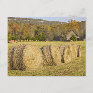 Carte Postale Historic farm in the Buffalo National River,