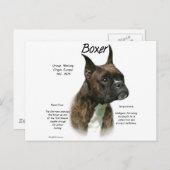 Carte Postale Historique de la boîte à broches (Devant / Derrière)