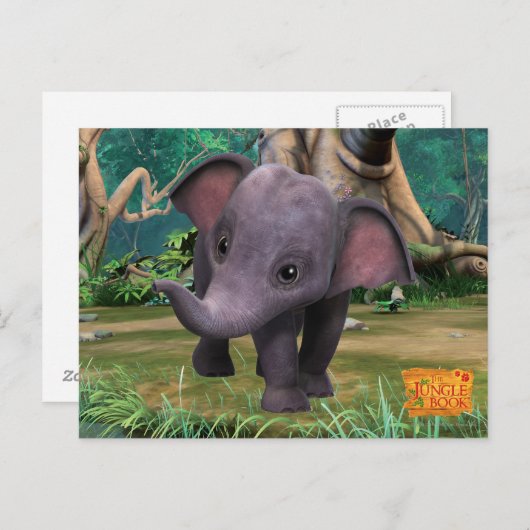 Carte Postale Hita (Devant / Derrière)