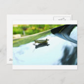 Carte Postale hitch randonnée (Devant / Derrière)