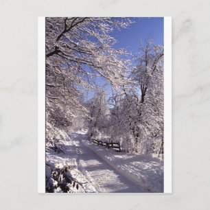 Carte Postale Hiver