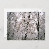 Carte Postale Hiver (Devant / Derrière)