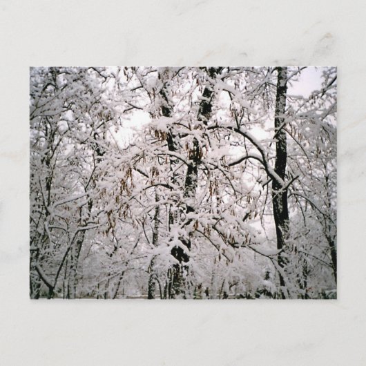 Carte Postale Hiver (Devant)