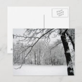 Carte Postale hiver (Devant / Derrière)