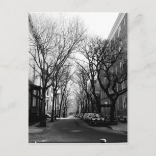 Carte Postale Hiver à Brookly, NY