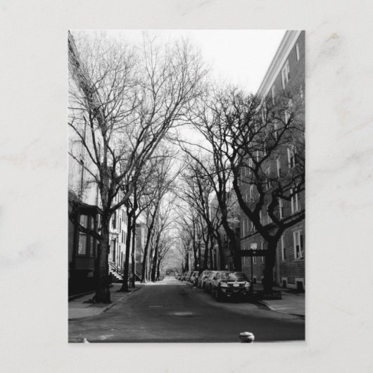 Carte Postale Hiver à Brookly, NY (Devant)