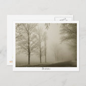 Carte Postale Hiver à Buzau (Devant / Derrière)