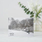 Carte Postale Hiver à Central Park (Debout devant)