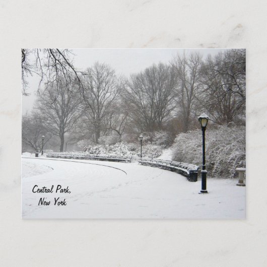 Carte Postale Hiver à Central Park (Devant)