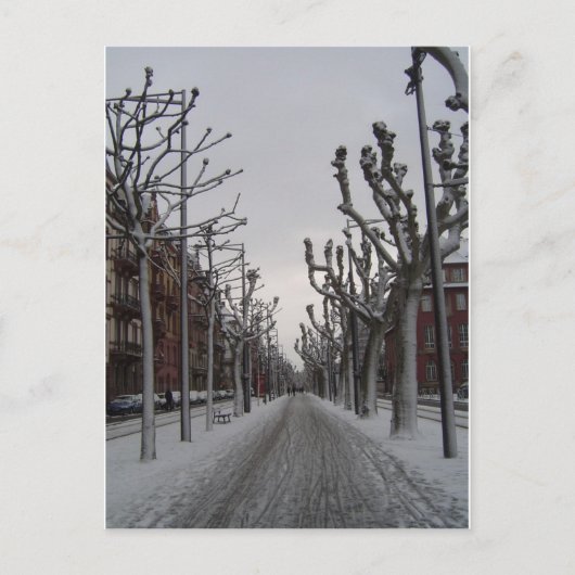 Carte Postale Hiver à Strasbourg (Devant)