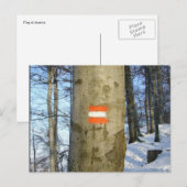 Carte Postale hiver australien (Devant / Derrière)