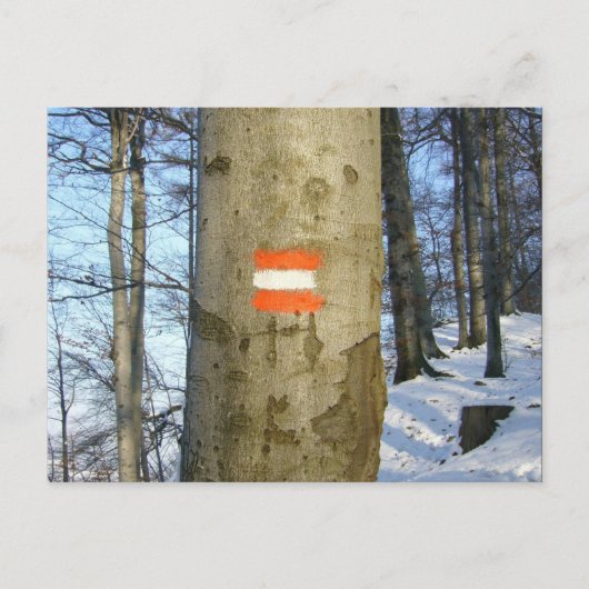 Carte Postale hiver australien (Devant)