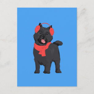 Carte Postale Hiver Black Cairre Terrier Chien avec bouffée roug