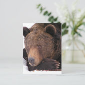 Carte Postale Hiver Brown de l'ours (Debout devant)