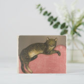 Carte Postale Hiver : Chat sur un coussin, R. Steinlen (Debout devant)