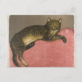 Carte Postale Hiver : Chat sur un coussin, R. Steinlen (Devant)