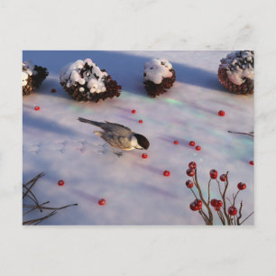Carte postale Hiver Chickadee