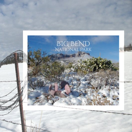Carte Postale Hiver, Chisos Mountains, Parc National Big Bend