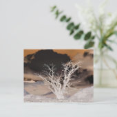 CARTE POSTALE HIVER DE LA MONTAGNE (Debout devant)