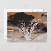 CARTE POSTALE HIVER DE LA MONTAGNE (Devant / Derrière)