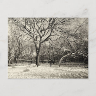 Carte Postale Hiver de New York - Neige de East Village