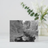 Carte Postale Hiver En Nouvelle-Angleterre (Debout devant)