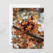 Carte postale hiver Feu (Devant / Derrière)